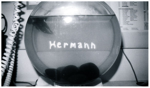 Hermann w. dirty water